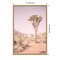 Joshua Tree III Blush by Elizabeth Urquhart Canvas Wall Art Print Framed